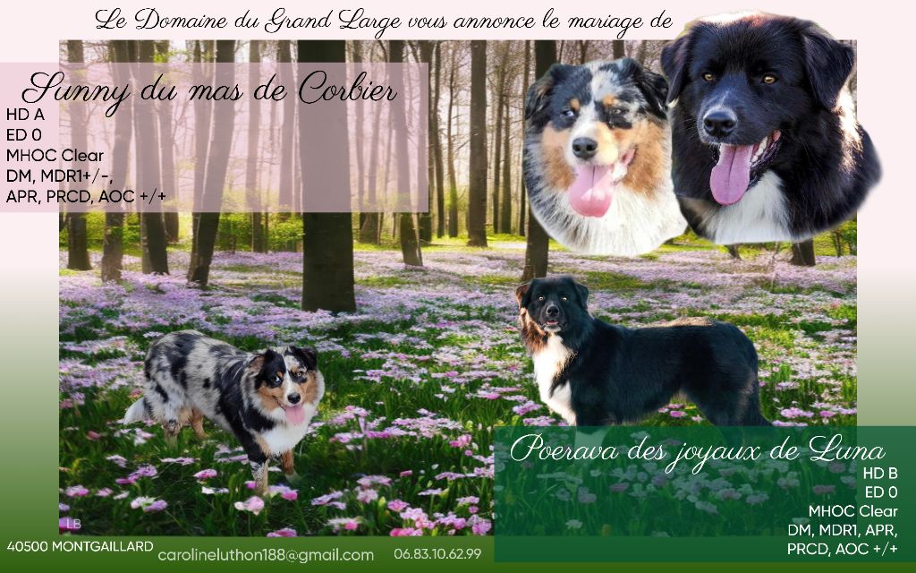Naissance autour du 25 mars 